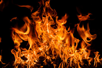 Fototapeta premium Texture of fire on black background. Abstract fire flame background. Large burning fire. Blaze fire flame texture background.