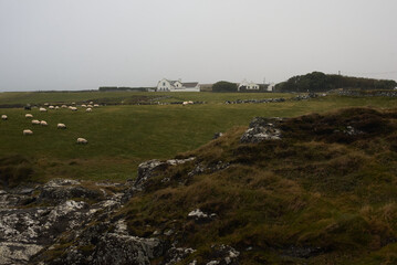 Farmhouse in the green hills. Wild Atlantic Way, Irland. 
