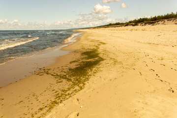 Plaża. Mierzeja Wiślana. Piaski.