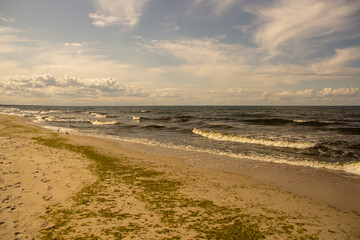 Plaża. Mierzeja Wiślana. Piaski. © wojwarm