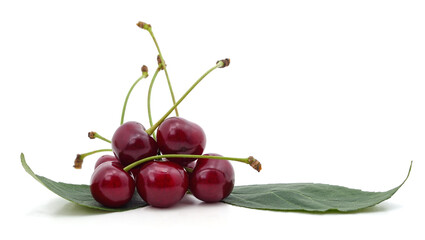 Bunch of ripe cherries with green leaves.
