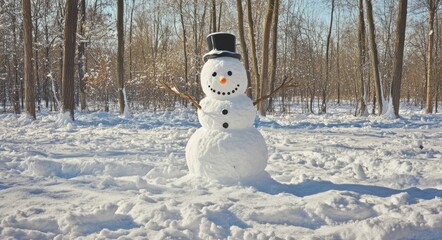 Obraz premium Joyful Snowman in a Winter Wonderland: A Panoramic Scene of Celebration and Frosty Delight