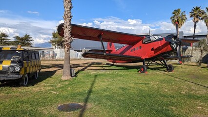 Plane with palms on field