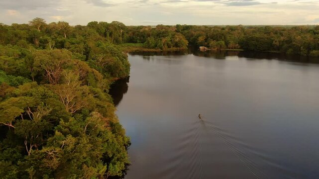 Aerial view of Amazonian river and evergreen rain forest at sunset light. Drone flying above Amazon jungle. Beautiful sunset golden hour light. Flight above the jungle and biggest river in the world.