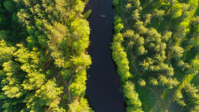 River runs through a forest with trees on both sides