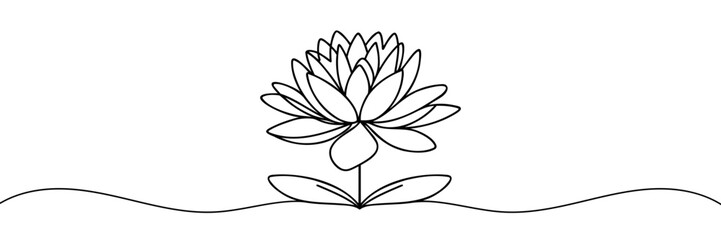Water lily, lotus flower vector continuous one line drawing on white background minimalist.