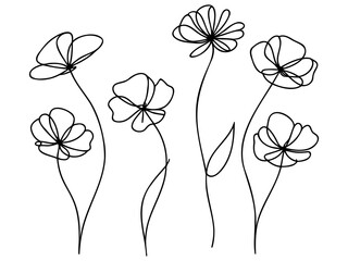 Continuous one line drawing of minimalist wild flowers poppy flower Poppies flower single outline vector illustration.