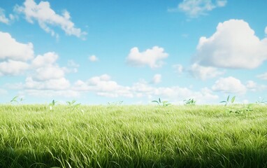Obraz premium A serene landscape featuring lush green grass under a bright blue sky with fluffy clouds.