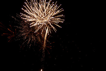 Obraz premium fireworks in the sky