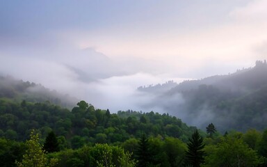 Fototapeta premium Serene misty green mountain forest with soft diffused light breaking through the atmospheric clouds, concept for nature travel, environmental conservation and peaceful meditation