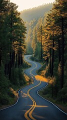 Fototapeta premium Scenic winding road meanders through rich forest at sunrise. Golden light bathes trees, road. Nature landscape photo. Travel adventure. Perfect for travel blog tourism magazine. Sunrise road trip.