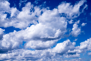 Obraz premium 9/16/22 RIDGWAY COLORADO - USA - White Puffy Clouds and Blue sky over Hastings Mesa Colorado and San Juan Mountains