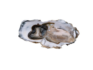 Naklejka premium Fresh open oyster in the shell isolated transparent png