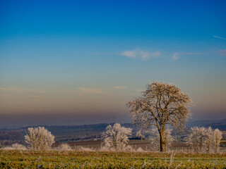 Winterliche Landschaft bei Frost und Raureif