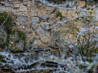 Gesteinsschichten im Muschelkalk