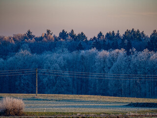 Winterliche Landschaft bei Frost und Raureif