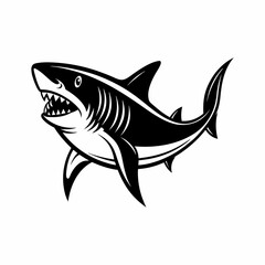  The shark black and white image for illustration.