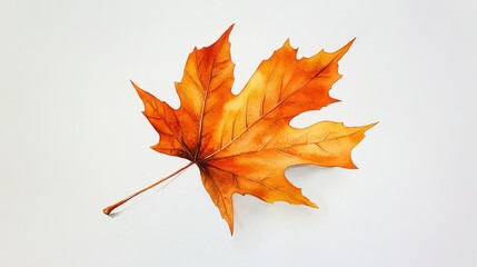 A solitary maple leaf in vibrant orange watercolor, featuring soft, flowing edges on a clean white canvas