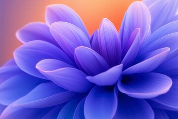 Vibrant Flower Explosion from Central Point