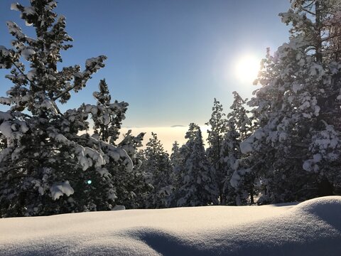 Fresh powder snow from a mountain peak above the clouds. Backcountry