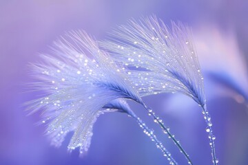 Delicate Purple Grass with Water Droplets Shimmering in Soft Light, Creating a Dreamy Ethereal Atmosphere of Nature's Beauty and Serenity