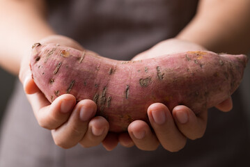 Raw organic Japanese sweet potatoes holding by hand