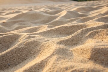 Fototapeta premium Close-Up of Fine Sand Texture Under Soft Natural Light, with Subtle Ripples