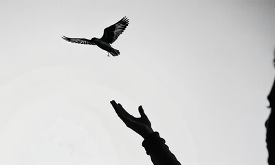 Silhouette of Hand Releasing Bird: A poignant monochrome image depicting a hand gently releasing a bird into the sky, symbolizing freedom, hope, and new beginnings.