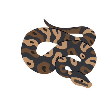 Ball python icon clipart avatar logotype isolated illustration