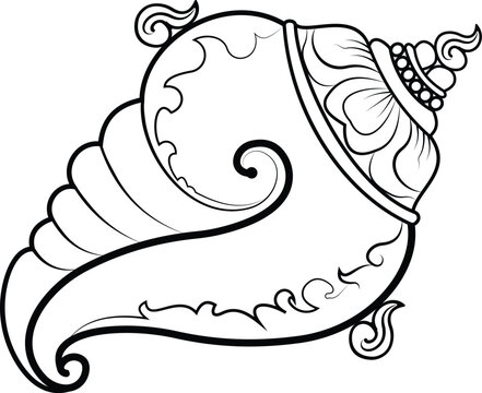Conch shell / Sankha Marine Mollusc Vector Art Illustration