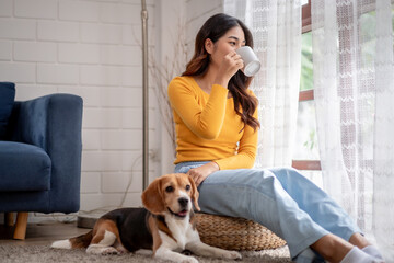 Asian woman drink coffee with her beagle dog in living room at home. 