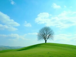 Obraz premium Lonely Tree on a Green Hill Under a Vast Blue Sky Scenic Landscape, -ai