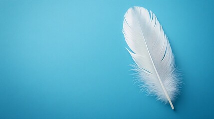 Obraz premium A depiction of a single white feather gracefully falling against a blue background, highlighting the softness of floating feathers 