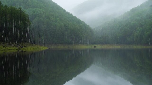 Zeya Reservoir. Picturesque views from the calm lake to the green hills and forest.