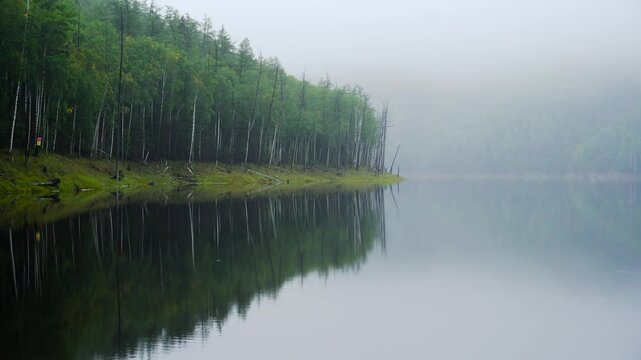 Zeya Reservoir. Picturesque views from the calm lake to the green hills and forest.