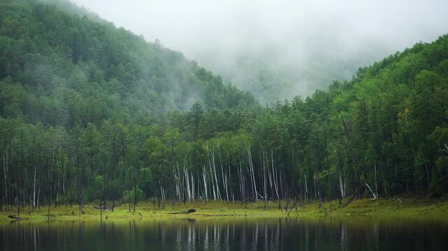 Zeya Reservoir. Picturesque views from the calm lake to the green hills and forest.