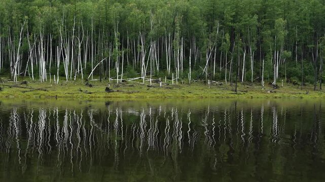 Zeya Reservoir. Picturesque views from the calm lake to the green hills and forest.