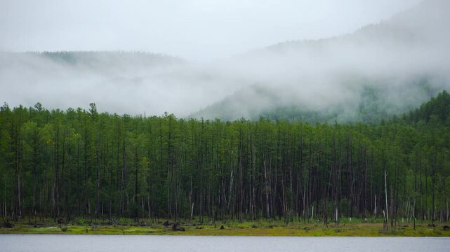 Zeya Reservoir. Picturesque views from the calm lake to the green hills and forest.