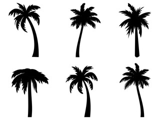Collection of silhouettes of palm trees.