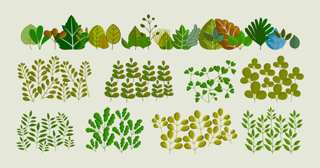 Flat leaves, bush trees, grass, wild plants hand drawing vector illustration. Foret, meadow, park and garden element nature set.