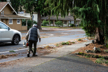 Senior man wearing ear protection and using gas powered leaf blower to cleanup tree debris off sidewalk, street gutter, and storm drain, after the storm
