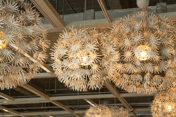 set of  modern ceiling light fixtures