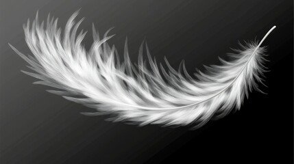 Obraz premium A delicate white feather gracefully displayed against a dark background.