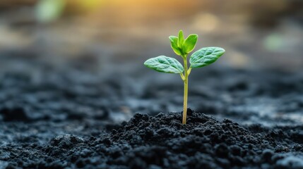 Resilience and adaptability skills, people learning self-improvement techniques