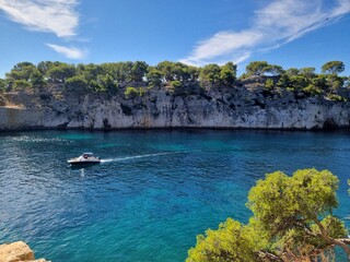 Naklejka premium boat on the sea