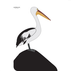 Pelican, Australian pelican, bird, animal, unique, icon, vector
