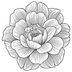 hand drawn flower colouring page