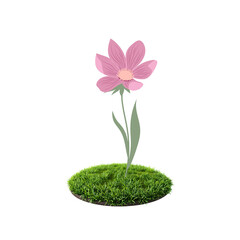 pink flower in a vase
