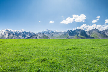 Green meadow with mountain natural landscape in summer. Outdoor natural background.