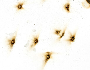 A series of bullet holes are scattered across a white background